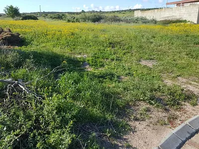 Vacant Land For Sale in Saldanha - Ib60.webp