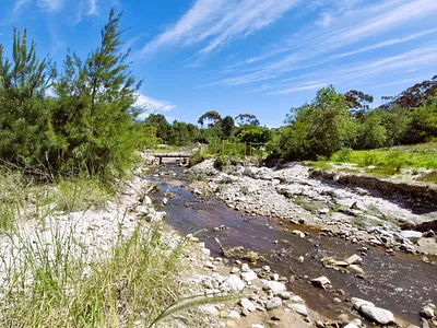 Vacant Land For Sale in Napier - UfHF.webp
