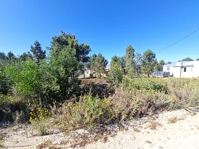 Vacant Land For Sale in Caledon - xFAB.webp