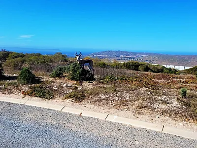 Vacant Land For Sale in Saldanha - uigW.webp