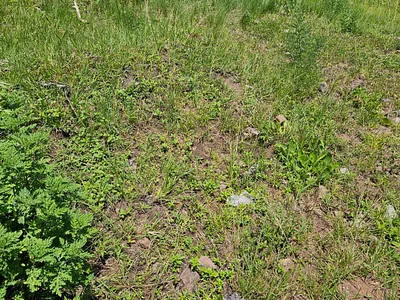 Vacant Land For Sale in Chatsworth - wiu4.webp