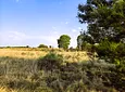 Carousel Indicator - lSSE.webp