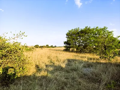 Vacant Land For Sale in Rayton - img