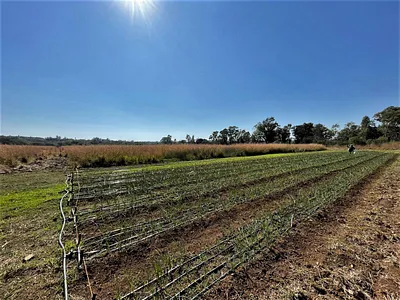 Vacant Land For Sale in Zwavelpoort AH, Pretoria - q31m.webp