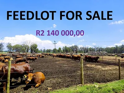 Farm For Sale in Bronkhorstspruit - oyGj.webp
