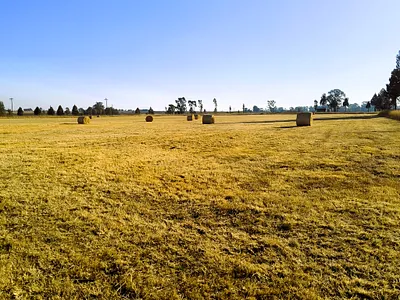 Farm For Sale in Rayton - ozCT.webp
