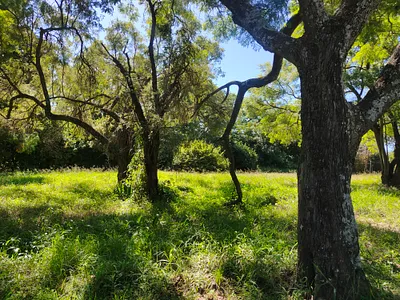 House For Sale in Cullinan - img