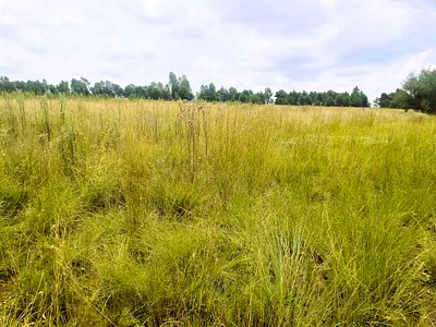 House For Sale in Bronkhorstspruit - img