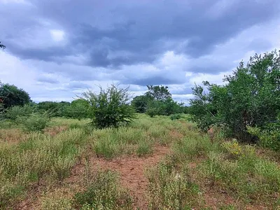 Vacant Land For Sale in Hoedspruit - img
