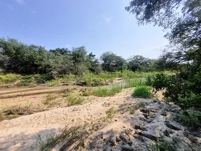 Vacant Land For Sale in Moditlo Nature Reserve, Hoedspruit - t16Y.webp