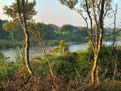 Vacant Land For Sale in Hoedspruit - JCAe.webp