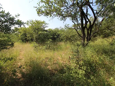 Vacant Land For Sale in Moditlo Nature Reserve, Hoedspruit - 9G5L.webp