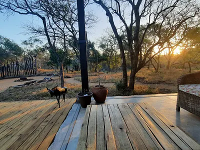 3 Bedroom House To Rent in Moditlo Nature Reserve, Hoedspruit - img