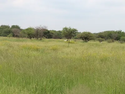 Vacant Land For Sale in Northam - clTT.webp