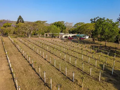 Farm For Sale in White River - Mmix.webp