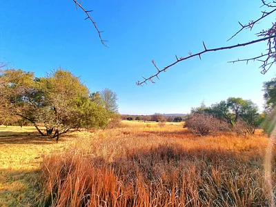 Vacant Land For Sale in Modimolle - 7cOJ.webp
