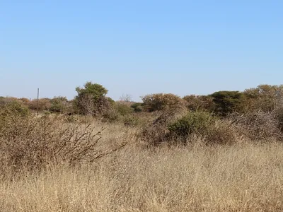Vacant Land For Sale in Northam - lCuw.webp