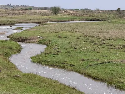 Farm For Sale in Bloemfontein - 3oV8.webp