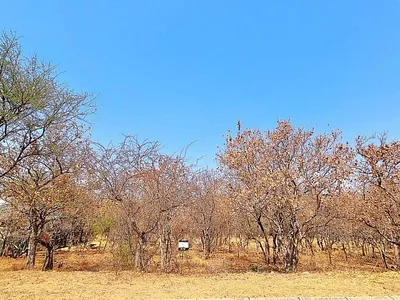 Vacant Land For Sale in Modimolle - kKW6.webp