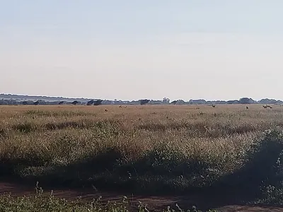 Vacant Land For Sale in Rustenburg - img