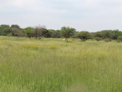 Vacant Land For Sale in Northam - Ch2D.webp
