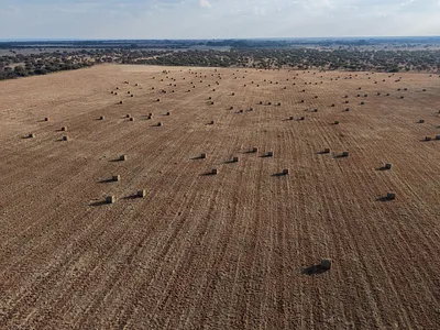 Farm For Sale in Bela Bela - img