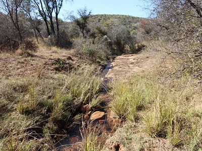 Farm For Sale in Modimolle - aPPC.webp