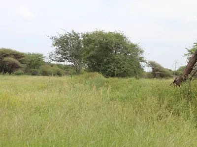 Vacant Land For Sale in Northam - Qths.webp