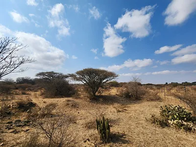 House For Sale in Polokwane - dLwQ.webp