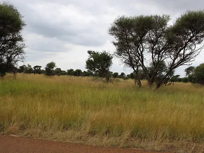 Vacant Land For Sale in Northam - t3Gx.webp