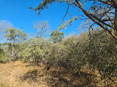 Vacant Land For Sale in Hectorspruit - OtFD.webp