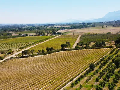 Farm For Sale in Paarl - Lg4k.webp