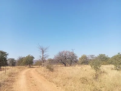 Farm For Sale in Musina - img