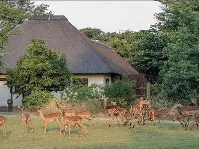 4 Bedroom House For Sale in Phalaborwa - img