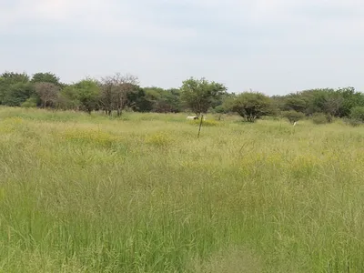 Vacant Land For Sale in Northam - 2QF2.webp