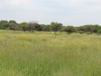 Vacant Land For Sale in Northam - DO47.webp