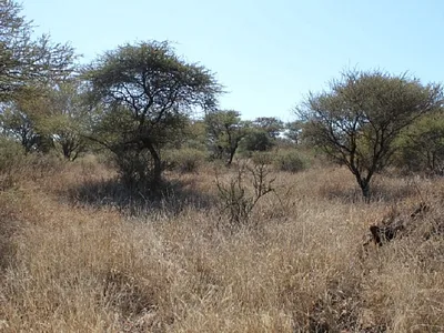 Vacant Land For Sale in Northam - RUDc.webp