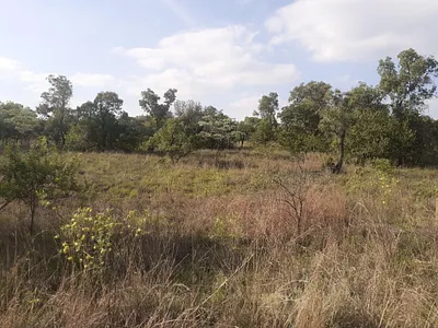 Vacant Land For Sale in Modimolle - 9miI.webp
