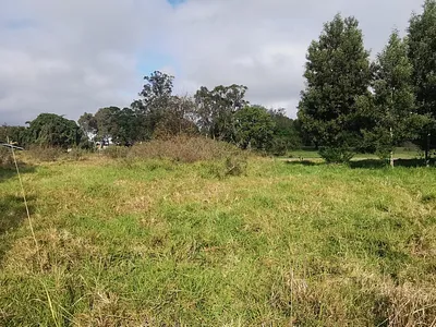 Vacant Land For Sale in Knysna - img