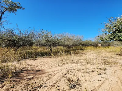Vacant Land For Sale in Marloth Park - img