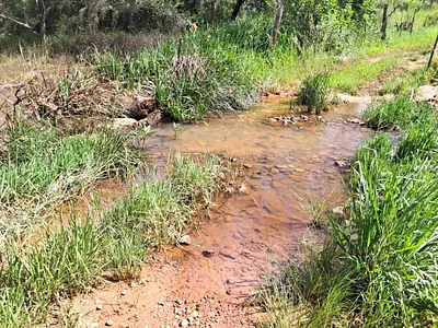 Farm For Sale in Modimolle - img