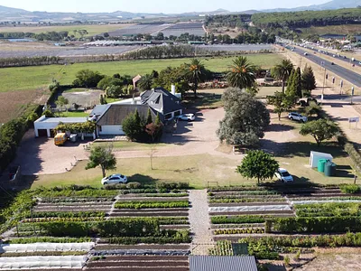 Farm For Sale in Stellenbosch - img