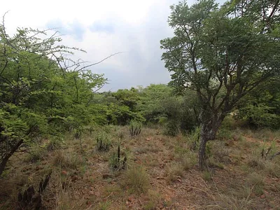 Vacant Land For Sale in Modimolle - Mf6m.webp