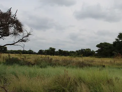 Vacant Land For Sale in Northam - ZaIL.webp