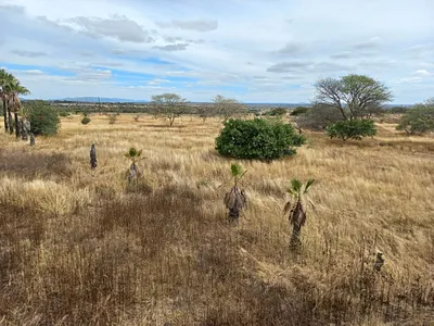 Farm For Sale in Polokwane - ihJ6.webp