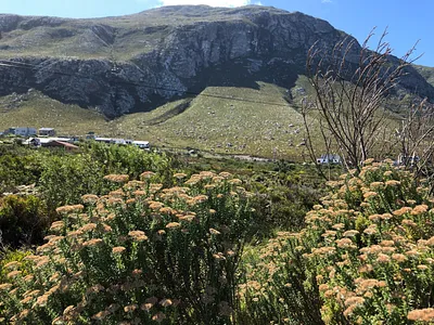 Vacant Land For Sale in Bettys Bay - img
