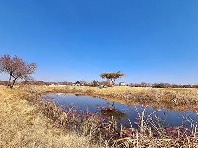 Vacant Land For Sale in Modimolle - pp5p.webp