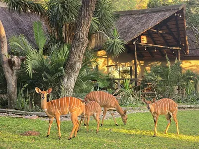 Commercial Property For Sale in Leopard Rock Nature Reserve, Hoedspruit - sulm.webp