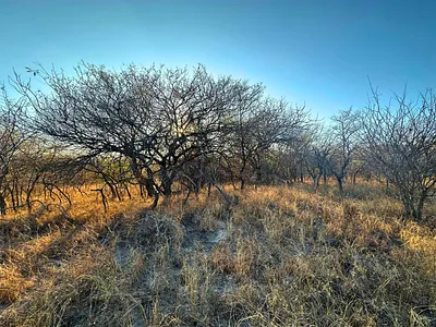 Vacant Land For Sale in Hoedspruit - F8JV.webp