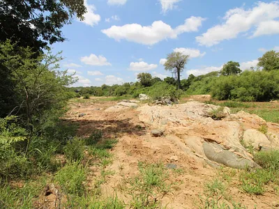 Vacant Land For Sale in Raptors View Wildlife Estate, Hoedspruit - OFzy.webp